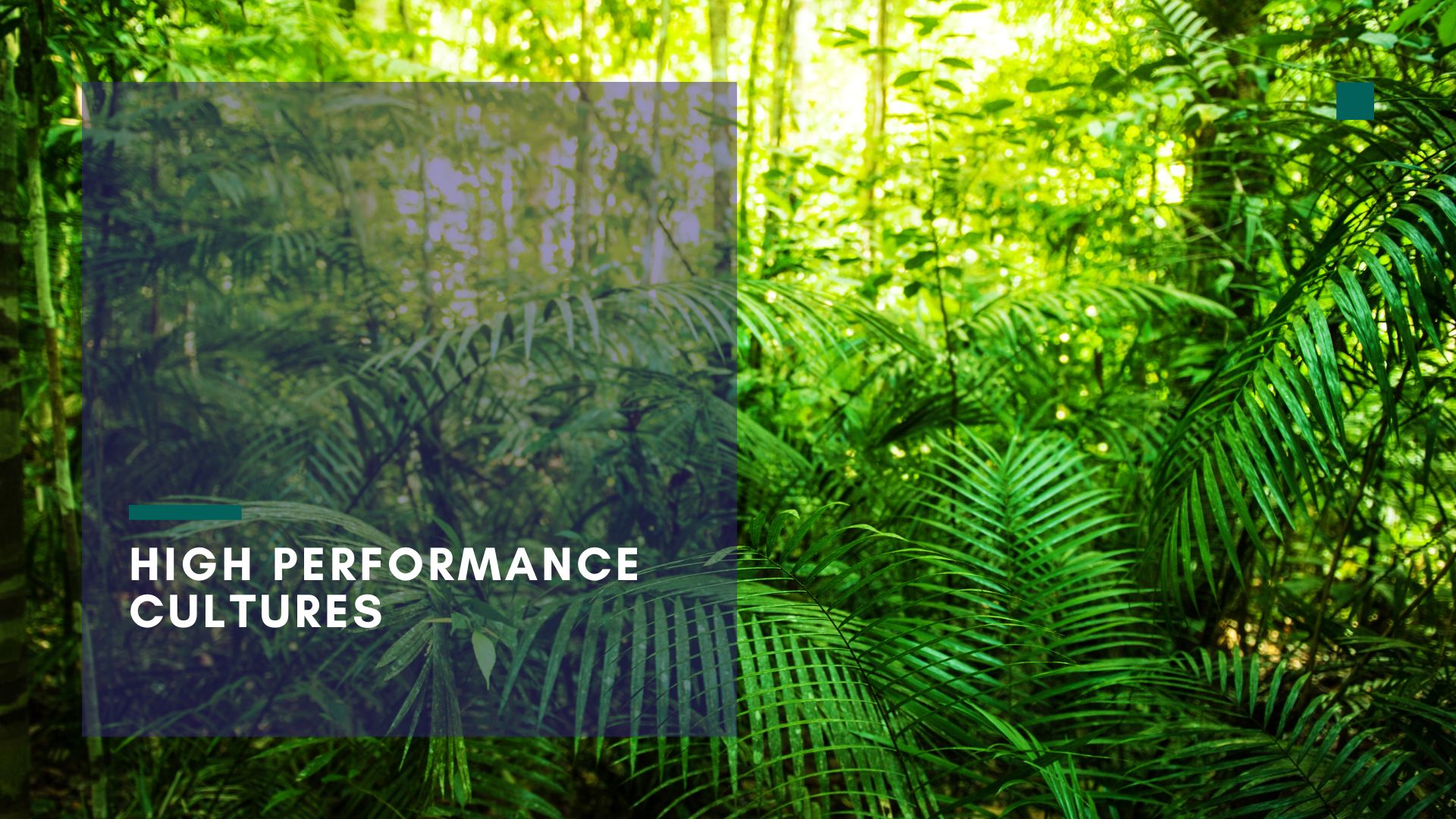 High Performance Cultures